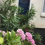 Maison Arzael à Marc Sur Hébergement de vacances *